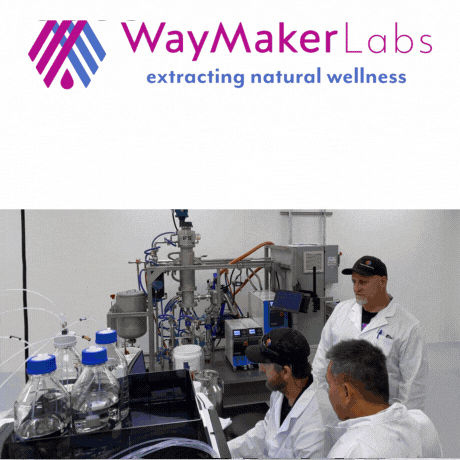 WayMaker Labs: Product image 3