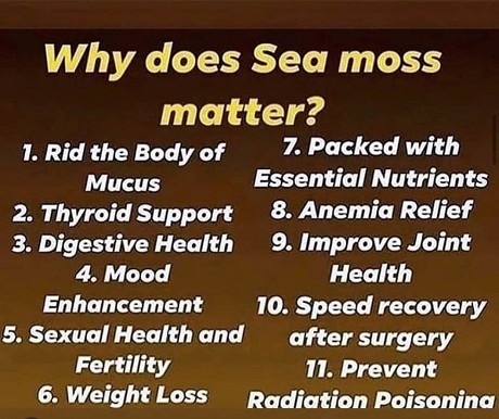 Rich Organic Beauty Sea Moss and Herbs: Product image 1