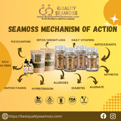 A”Quality Seamoss & Yoni Oil: Product image 1